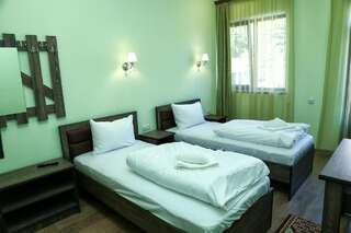 Отель Sofya Горис Двухместный номер с 2 отдельными кроватями и балконом-4
